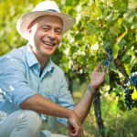 Academy Experience Quality Control Online Courses Egypt Safety Courses Food Courses (431)